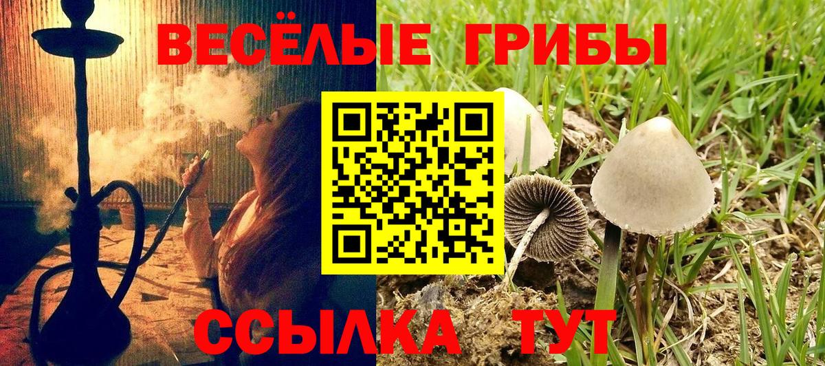 наркота  Галлюциногенные грибы ЛСД  Псилоцибиновые грибы мухоморы  Вход с VPN  Холмск 