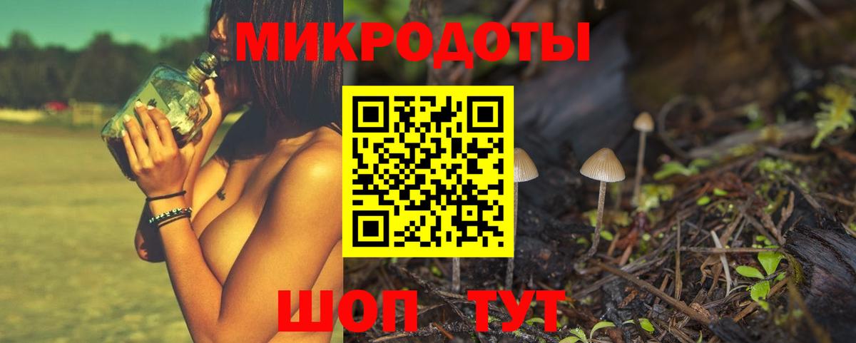 Галлюциногенные грибы Psilocybine cubensis Холмск